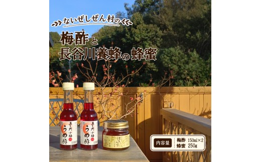 伊勢志摩の恵みお試しセット ないぜしぜん村 五ヶ所小梅の梅酢150ml×2 長谷川養蜂百花蜜250g / 小梅 うめ 梅酢 うめ酢 お酢 酢 ビネガー 梅干し ドレッシング はちみつ 蜂蜜 伊勢 志摩 南伊勢 8000円 八千円 一万円以下 ないぜしぜん村