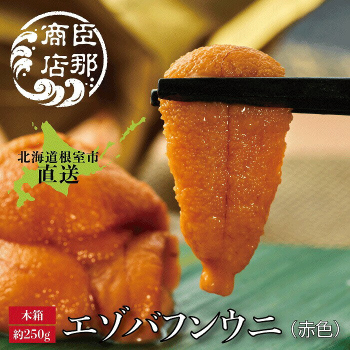 【ふるさと納税】 エゾバフンウニ ( 赤色 ) 約 250g × 1 折 うに ウニ 雲丹 バフンウニ エゾバフンうに えぞばふんうに 蝦夷バウンウニ 蝦夷ばふんうに ウニ丼 うに丼 雲丹丼 刺身 お取り寄せ グルメ 海鮮 北海道 根室市 F-22001