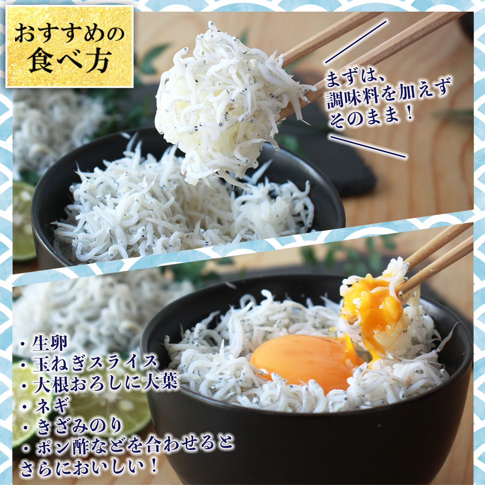 ＜老舗網元 濱田屋の釜あげしらす 合計1kg（100g×10個）＞ 釜揚げ シラス じゃこ 海鮮 海産物 丼 おにぎり 具材 ごはんのお供 おつまみ おやつ 小魚 カルシウム 乾物 小分け 国産 マル
