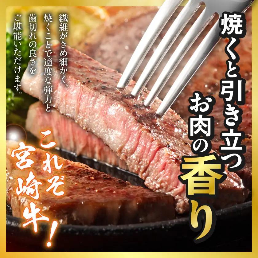 牛肉 宮崎牛サーロインステーキ200g×2枚〔18-4201〕 牛肉