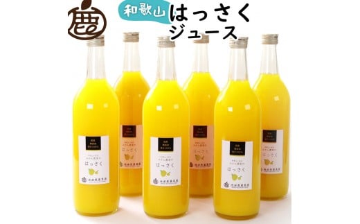 無添加はっさくジュース 約720ml×6本［IKE265］