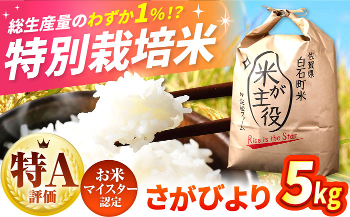 【先行予約】【令和7年度産】こだわりの特別栽培！ さがびより 5kg 【有限会社定松ファーム】米 お米 [IBV001]