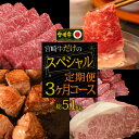 【ふるさと納税】宮崎牛だけのスペシャル定期便3ヶ月コース【定期便】 牛肉 ステーキ 焼肉 BBQ スライス しゃぶしゃぶ すき焼き 冷凍 内閣総理大臣賞受賞 宮崎県産 九州産 送料無料