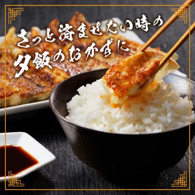 ふるさと納税 富士吉田市 【おつまみセット】富士山北麓餃子(30個)と富士山北麓馬もつ煮(計660g)のセット 冷凍便　 |  | 01