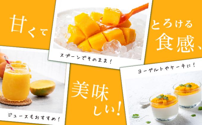 キーツマンゴー1kg  贈答用