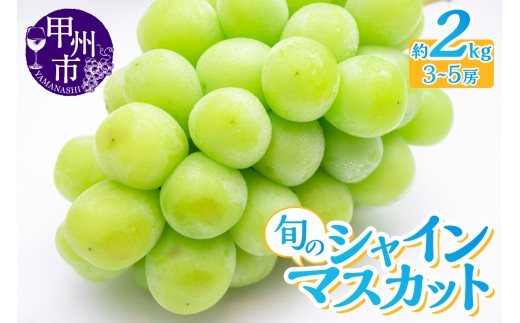 産地直送 山梨自然の恵み！旬のシャインマスカット 3～5房 約2kg【2026年発送】（LKS）B18-850 【シャインマスカット 葡萄 ぶどう ブドウ 令和8年発送 期間限定 山梨県産 甲州市 フルーツ 果物】
