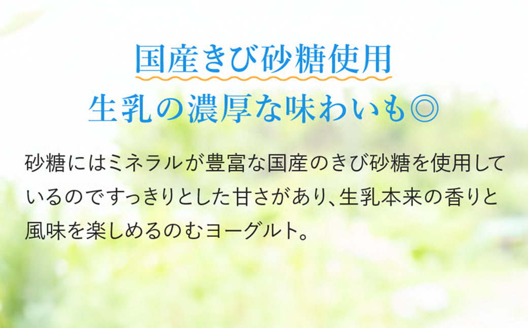 球磨の恵みヨーグルト 大容量セット ヨーグルト(加糖・砂糖不使用) 1000g×各1P + のむヨーグルト (加糖・砂糖不使用)450g ×1本/150g×3本 熊本県 水上村