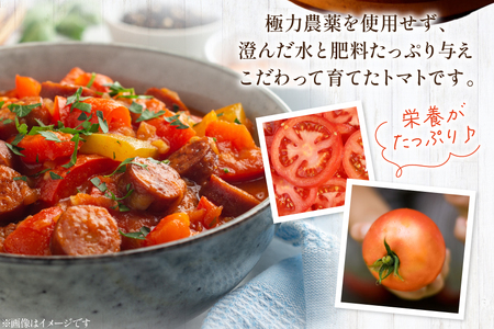 訳あり トマト 冷凍志宝トマト大玉 2kg (真空パック)