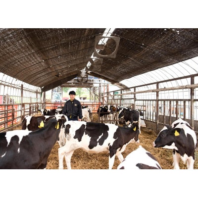 【毎月定期便】風景の牛乳 500ml　牧場てづくりのむヨーグルト 500g　各3本全12回【配送不可地域：離島】