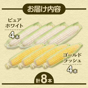 【2026年先行予約】とうもろこしコラボセット!　ピュアホワイト4本×ゴールドラッシュ4本（2026年8月下旬から発送開始予定）とうもろこし