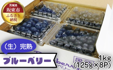 茨城県産　坂東市（生）完熟ブルーベリー1kg（125g×8P） No.538