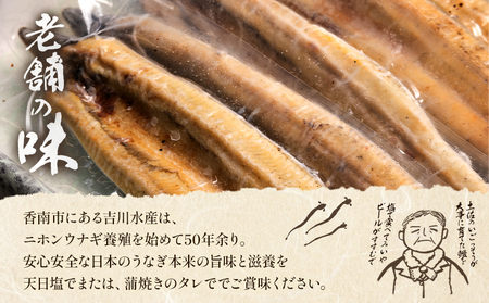 【天日塩付き】国産うなぎ 高知県産 白焼き 20尾(100～110g) 合計2kg以上【うなぎ こだわりうなぎ 白焼きうなぎ うなぎ うなぎ 高知県産うなぎ 天日塩付きうなぎ】 yw-0088