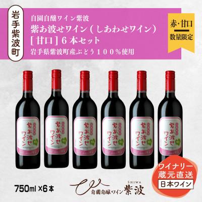ふるさと納税 紫波町 【自園自醸ワイン紫波】紫あ波せ(しあわせ)ワイン甘口　750ml×6本セット