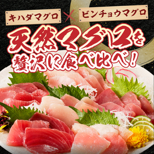 天然鮪 焼津 キハダマグロ ビンチョウマグロ 計1kg (a12-326d)