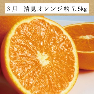 【3か月定期便】たっぷり届く♪訳ありみかんの定期便【tkb113】