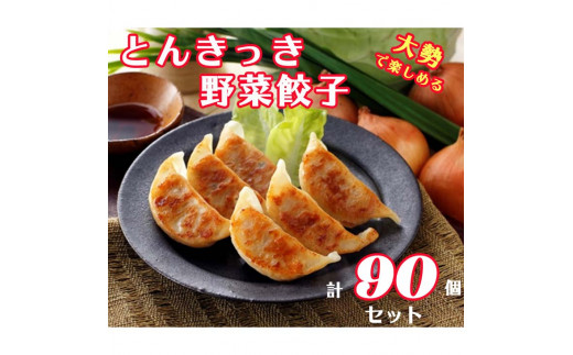 
「宇都宮餃子会とんきっき」野菜餃子　90個（計1.6kg）
