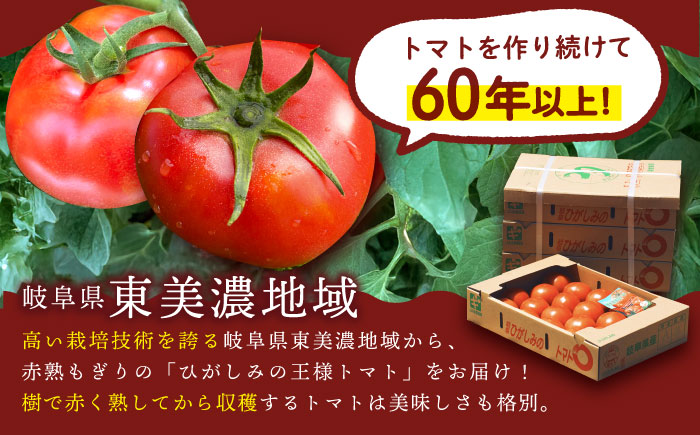 【1ヶ月程度で発送！】【10月1日まで受付】赤熟もぎりのひがしみの王様トマト 20玉（約4kg） / トマト とまと 王様トマト 完熟 / 恵那市 / 東美濃農業協同組合 [AUDS002]