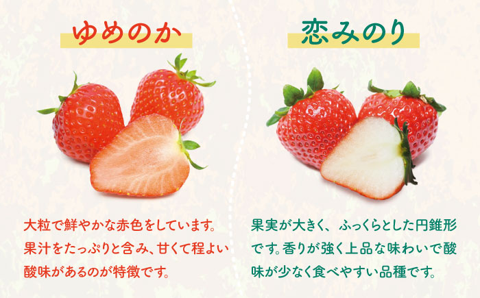 【全3回定期便】 【先行予約】家庭用 ゆめのか・恋みのり いちご 1kg（2種ミックス）【2027年2月以降順次発送】 いちご 苺 イチゴ 果物 フルーツ いちご 甘い ichigo strawber