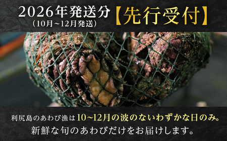 【2026年発送予約】北海道 利尻島産 直送！利尻あわび 天然 生えぞあわび１kg 鮑 海鮮 冷蔵 お刺身 魚介 お祝い 鮑 活き 天然【福士水産】