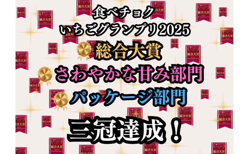 特大粒いちご 9粒入りセット [ いちご イチゴ 苺 大粒 フルーツ 果物 新鮮 糖度 ] 果物類 