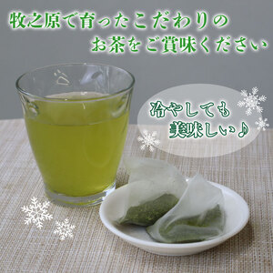 緑茶 ティーバッグ 120個 長谷川製茶 【お茶】