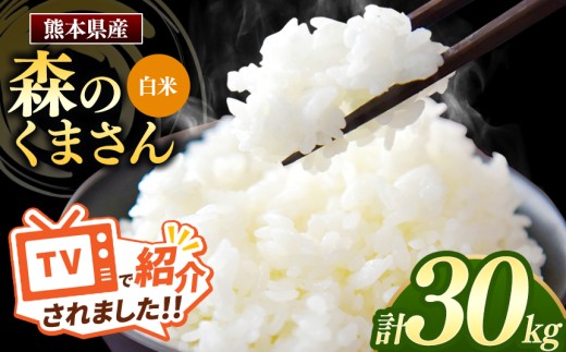 【 令和7年産 】 熊本県産 森のくまさん 白米 30kg | 小分け 5kg × 6袋  熊本県産 こめ 米 白米 ごはん 銘柄米 ブランド米 単一米 人気 日本遺産 菊池川流域 こめ作り ごはん ふるさと納税 返礼品