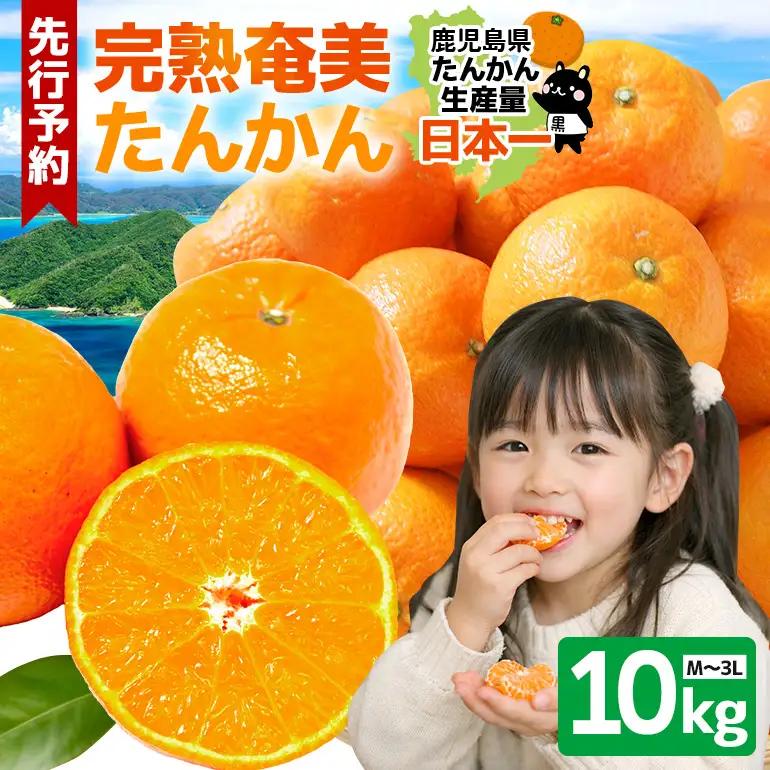 【 2027年 先行予約 】《 奄美大島産 》 おいしい 完熟 たんかん 光センサー選別 10kg A145-003 期間 数量 限定 柑橘 みかん 果物 フルーツ 旬 甘い 光センサー サイズ おまかせ 奄美大島 ピーラー付き フラスコ ふるさと納税 鹿児島 奄美市 おすすめ ランキング プレゼント ギフト