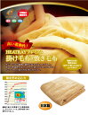 【ふるさと納税】HEATRAY プレミアム掛け毛布/ 送料無料 福井県 越前市 寝具 毛布 睡眠 防寒 冷え対策 温活 腰痛 生理痛 冬 あったかグッズ （18209)