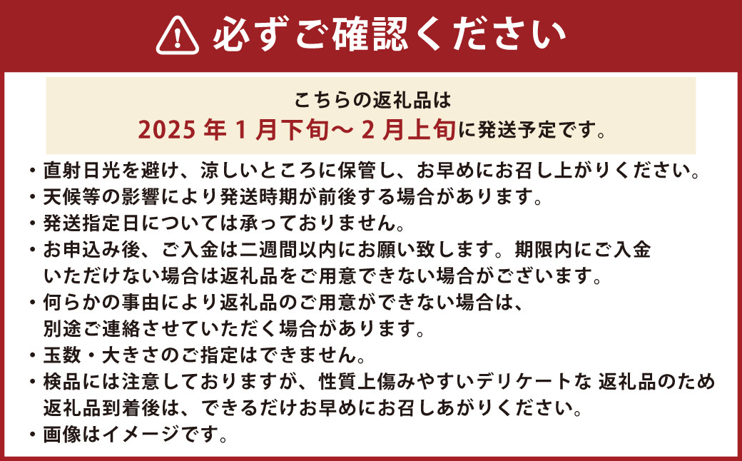 大岩農園のはるみ 家庭用 約4.5kg