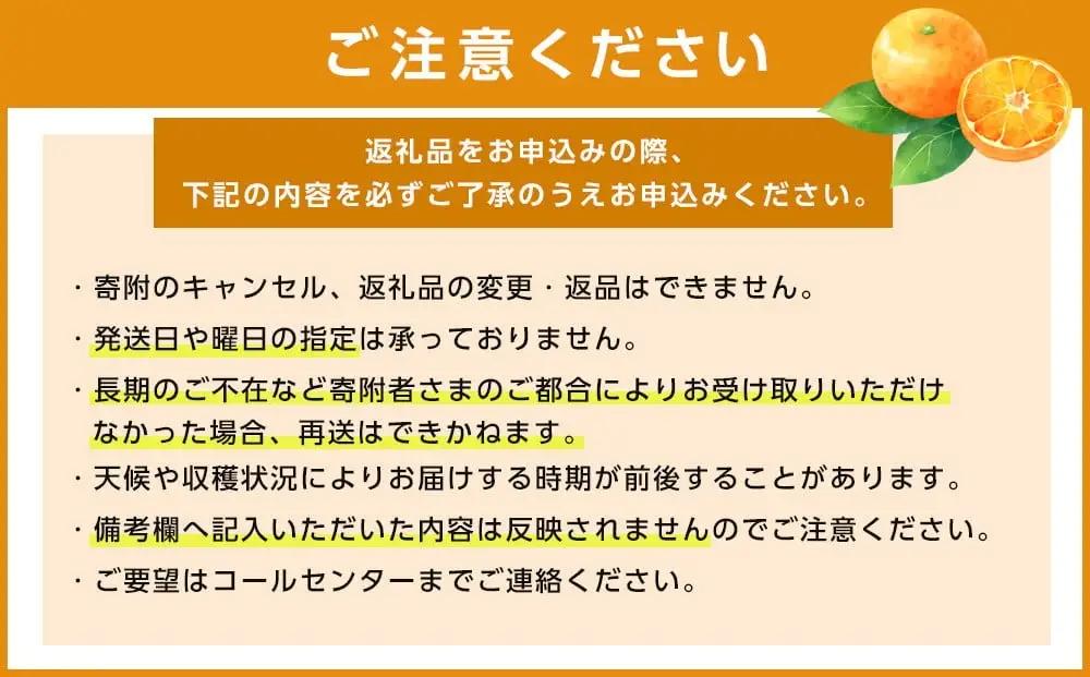 愛媛県産せとか（露地）約5kg 秀品 2L~M サイズ 【高島屋選定品】 【2027年2月中旬頃から順次発送】【IYT0542】