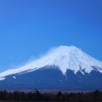 ふるさと納税 忍野村 富士山の流水で作る”忍野の生うどん”5個箱入り |  | 02