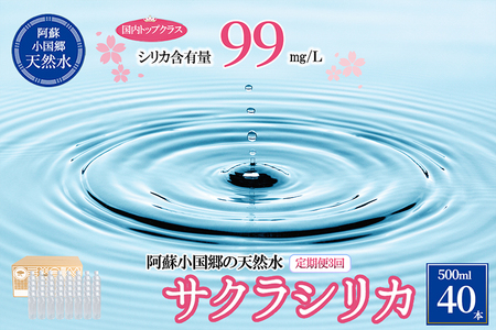 【桜屋】3回 定期便 シリカ天然水 サクラシリカ 500ml 40本 3回 計120本 シリカ含有量99mg/L シリカ水 ラベルレス 水 ミネラルウォーター 飲料水 飲料 ペットボトル ナチュラルウォーター サルフェート 炭酸水素イオン ミネラル 国産 阿蘇 小国郷