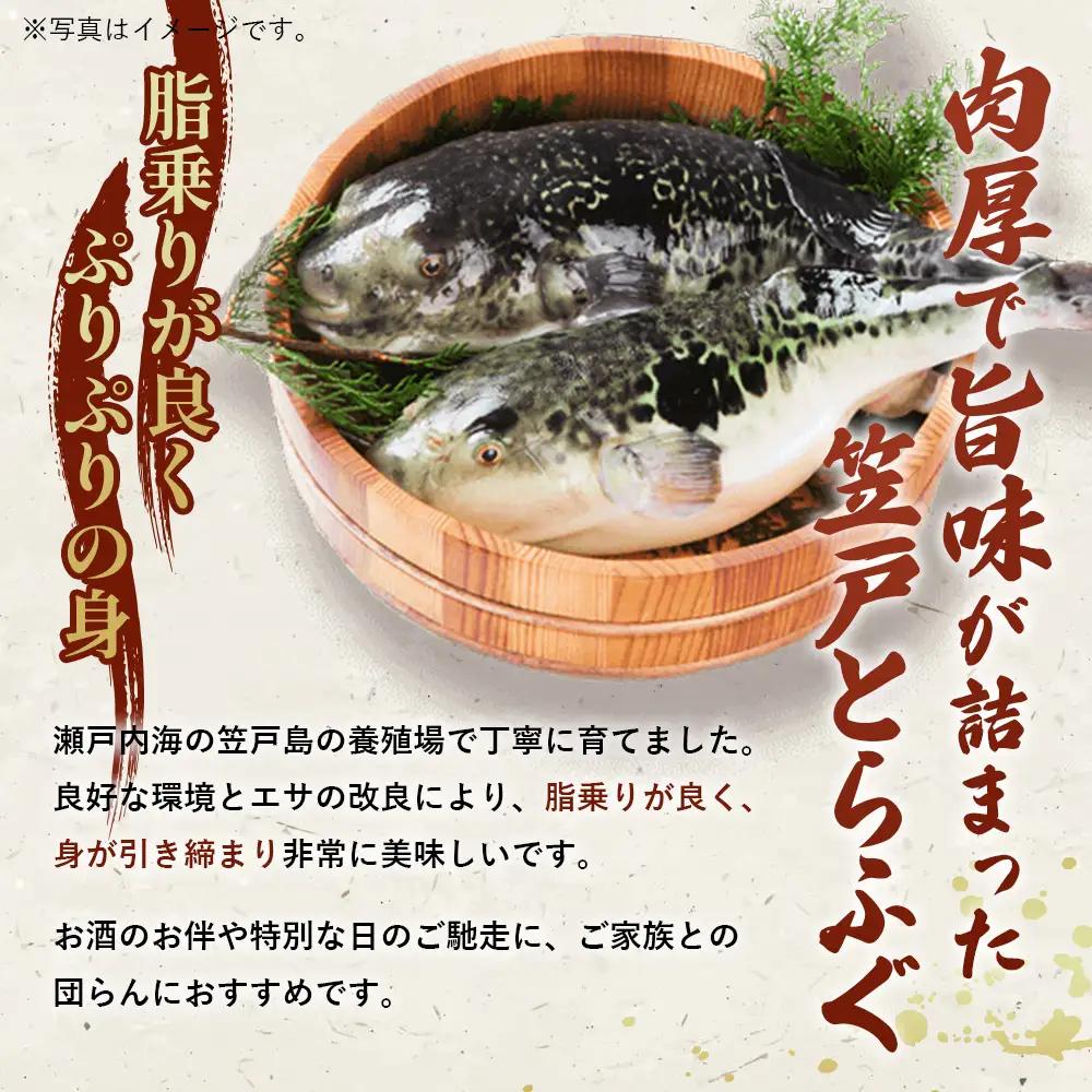 笠戸 とらふぐ （加熱調理用） ／ トラフグ 料理 魚 山口県 No.185