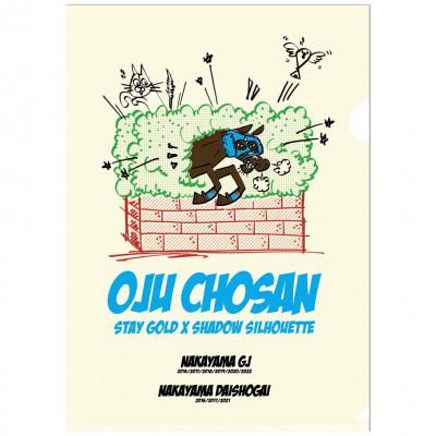 ふるさと納税 平取町 【競馬グッズ】クリアファイル【オジュウチョウサン】イラスト5枚入り