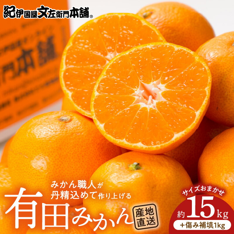 【ふるさと納税】有田みかん 約15kg(+傷み補填分1kg)=合計16kg【サイズおまかせ】／産地直送／紀伊国屋文左衛門本舗（お届け日指定不可）