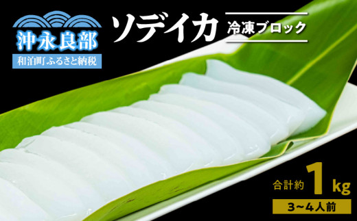 冷凍保存OK！エメラルドブルーの美しい海で育ったおいしいソデイカ冷凍ブロック1キロ （3～4人前）！　W022-027u