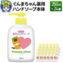 【ふるさと納税】ぐんまちゃん薬用ハンドソープ本体(250ml)×24個入り