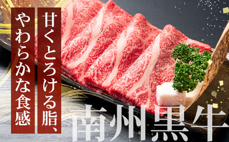 ≪全6回≫ 鹿児島県産 ◆ 黒牛＆黒豚食べ比べ 定期便◆  南州黒牛 かごしま黒豚 NS-28 | 牛 肉 お肉 ブランド牛 黒毛和牛 鹿児島黒豚 黒豚 豚肉 豚 ぶた肉 霜降り サシ ロース しゃぶ