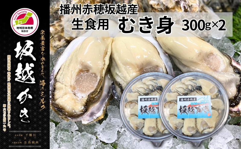 牡蠣 坂越かき 生食用 むき身 300g×2個 (計600g)[ 生牡蠣 冬牡蠣 かき カキ 真牡蠣 ]