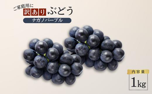 TK18　ぶどう ナガノパープル【家庭用】 約1kg ／2026年9月上旬～9月中旬配送予定 // 長野県 南信州 松川町産 種なし 皮ごと 南信州 長野県 オリジナル品種 稀少 人気 自家用