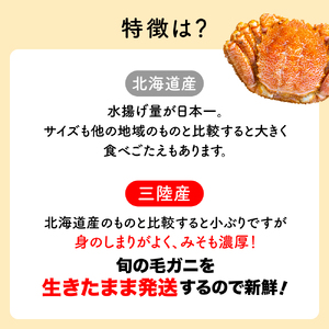 【期間限定2月～4月発送】三陸産活毛ガニ 300g相当×2杯【35】天然 国産 冷蔵 三陸 直送 濃厚 かに 蟹 カニ 毛ガニ 毛蟹 毛がに 