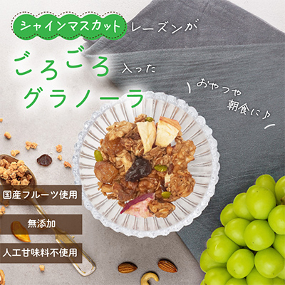 
            無添加 グラノーラ 柿 シャインマスカット ドライフルーツ入り 60g×2袋 シリアル オートミール【1575368】
          
