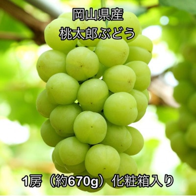 【2026年発送】岡山県産 桃太郎ぶどう 1房(約670g)化粧箱入り【配送不可地域：離島】【1710833】