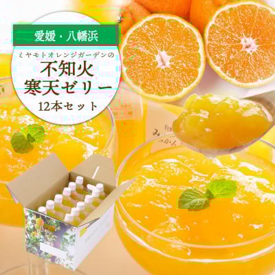
            ゲル化剤・pH調整剤不使用!愛媛産 不知火寒天ゼリー 12本セット＜D25-224＞【1628746】
          