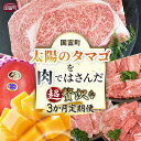 【ふるさと納税】 期間限定 ＜太陽のタマゴを肉ではさんだ超贅沢な3か月定期便＞※入金確認後、2025年4月から第一回目を順次出荷 牛肉 和牛 宮崎牛 ロース ステーキ 焼肉 モモ バラ マンゴー フルーツ 果物 お取り寄せグルメ お祝い お楽しみ 宮崎県 国富町【冷凍】