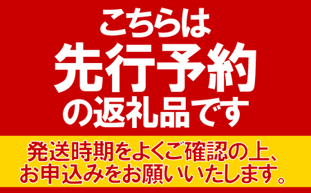 【先行予約】 とうもろこし 10本 【 コーン 】 小野商店