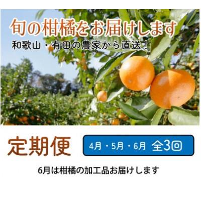 ふるさと納税 広川町 【発送月固定定期便】家庭用 柑橘定期便S(4〜6月)全3回 |  | 01