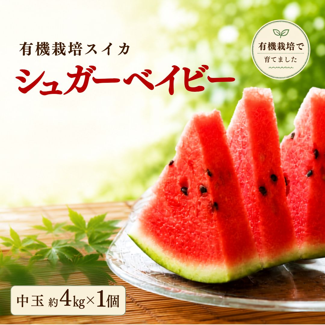 【ふるさと納税】有機栽培 豊高スイカ シュガーベイビー 中玉 約4kg 1個 | すいか 西瓜 スイカ 大分県 豊後高田市