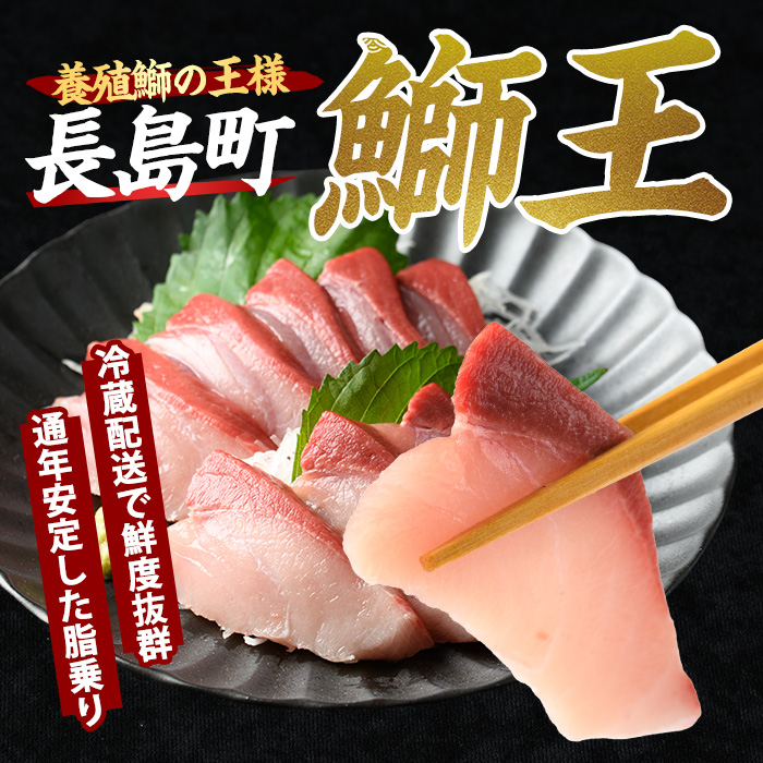 ＼年始発送 先行予約／＜数量限定＞【2027年1月7日発送】『旅サラダ』で紹介ぶりの王様「 鰤王 」 フィレ 半身 (約1.2〜1.5kg・フィレ1枚) 産地直送 新鮮 旨味が抜群の 長島町 特産品 