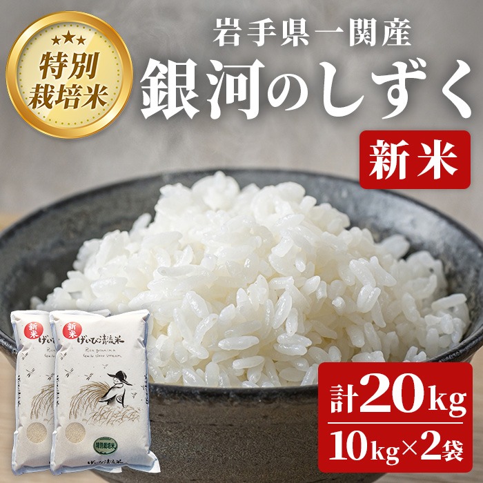 ≪ 令和7年産 新米 ≫ 特別栽培米 銀河のしずく 20kg(10kg×2袋)  清流が育んだお米 げいび清流米 岩手県産